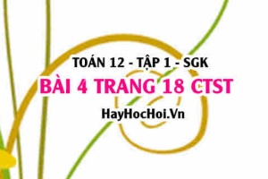 Bài 4 trang 18 Toán 12 tập 1 Chân trời sáng tạo
